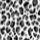Leopardo